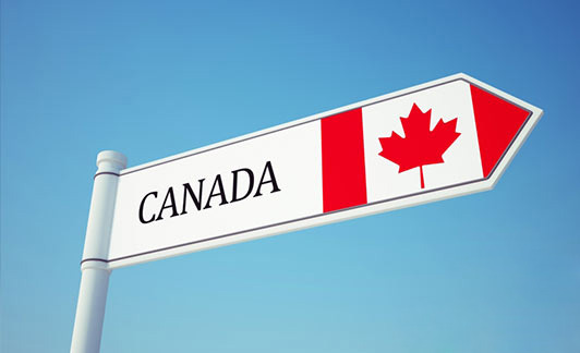 
普通人可以选择什么办法移民加拿大？如何提高EE分数？                    
